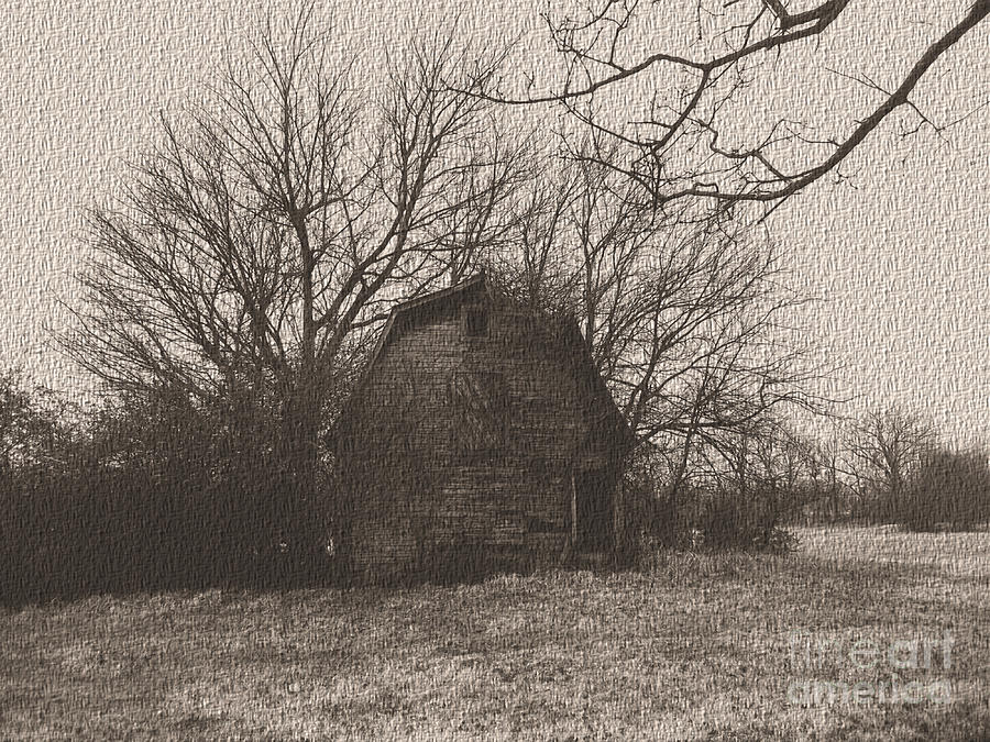 Winter Photograph - The Forgotten Barn by R McLellan