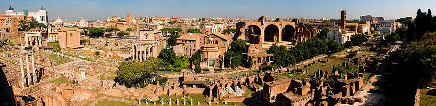 The Forum from the Palatine Photograph by Weston Westmoreland