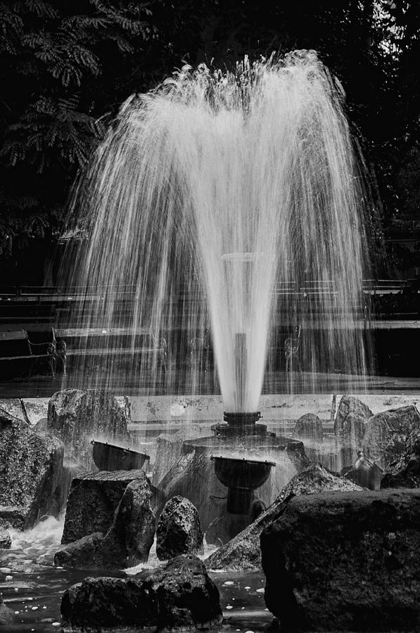 The Fountain Photograph by Celso Bressan