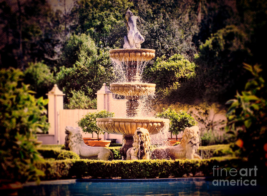 The Fountain Photograph by Karen Lewis