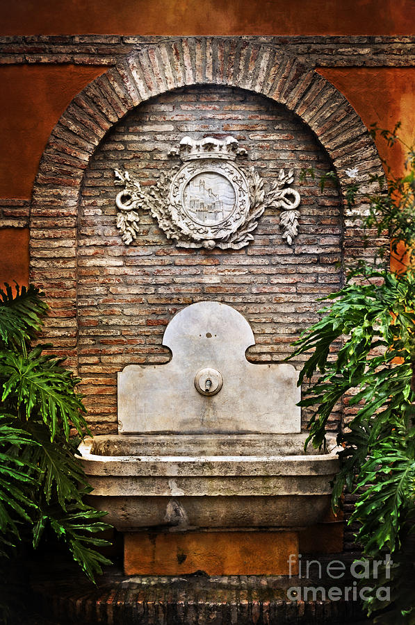 The Fountain Photograph by Mary Machare