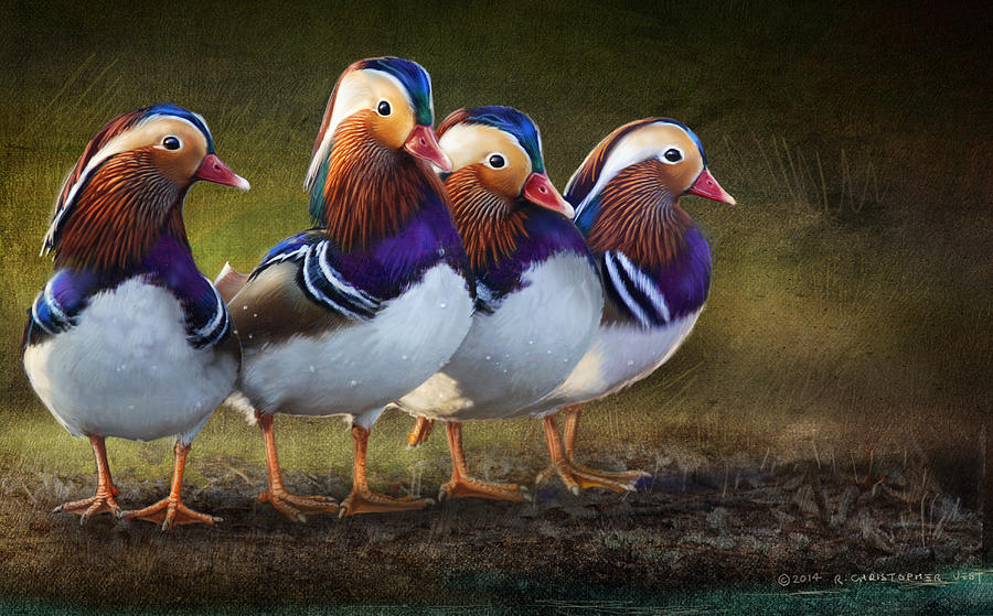 Bird Painting - The Four Brothers- Mandarin Ducks by R christopher Vest