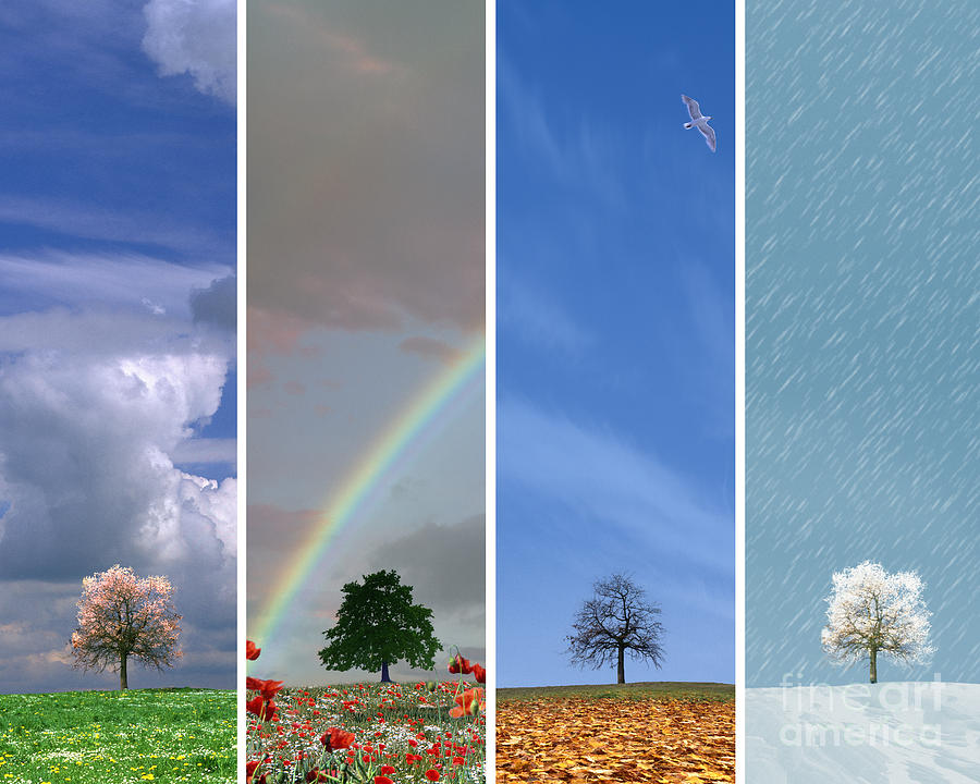 The Four Seasons Photograph by Edmund Nagele - Fine Art America