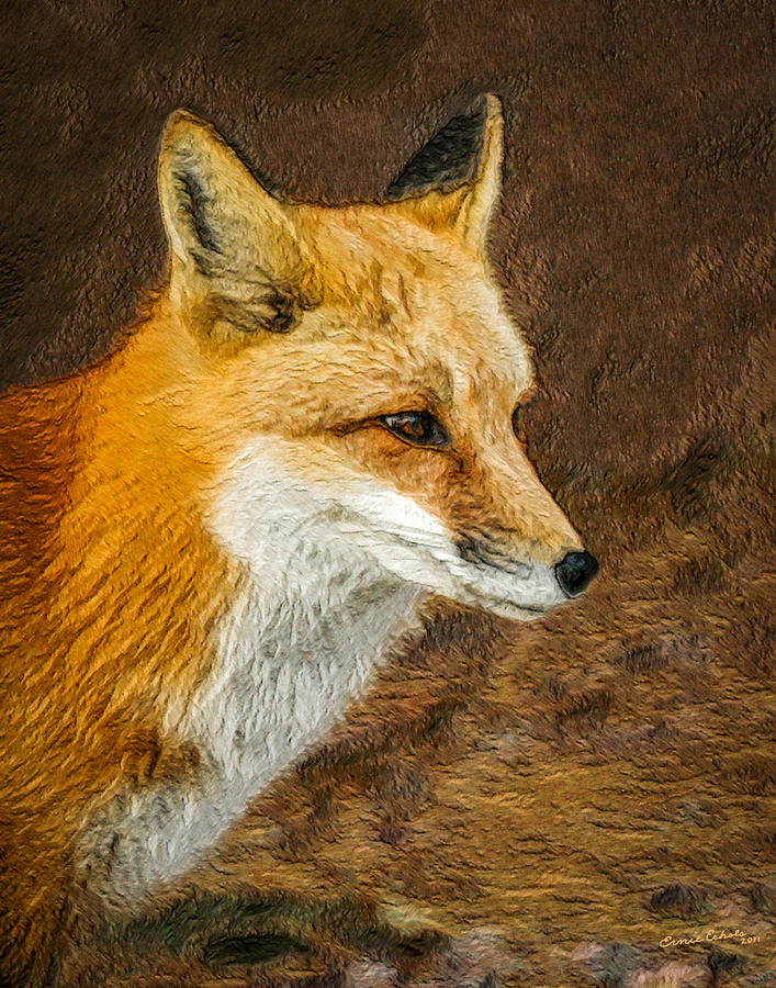 The Fox 5 Digital Art by Ernest Echols