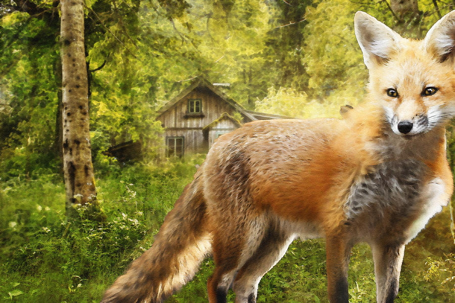 Fox Mixed Media - The Fox by Pati Photography