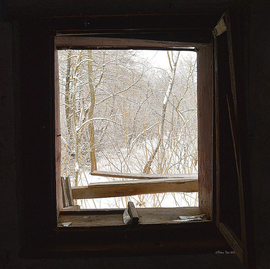 The framed Winter Photograph by Felicia Tica