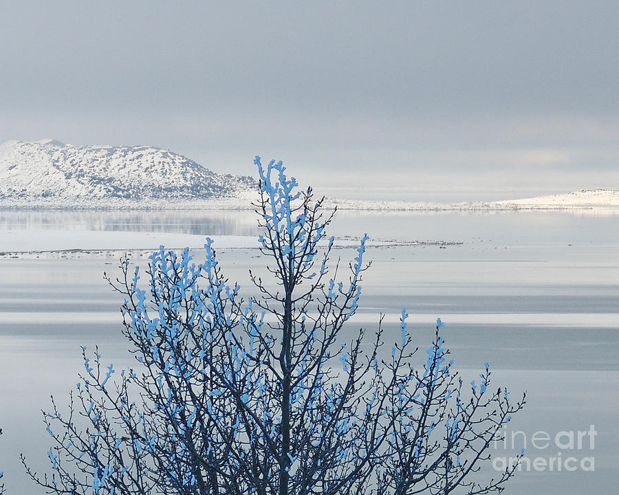 The Freeze at Mono Lake Photograph by L J Oakes