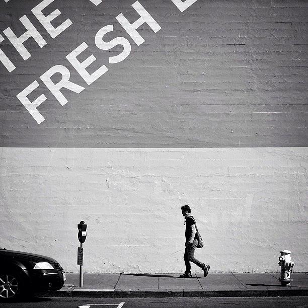 The Fresh Photograph by David Root