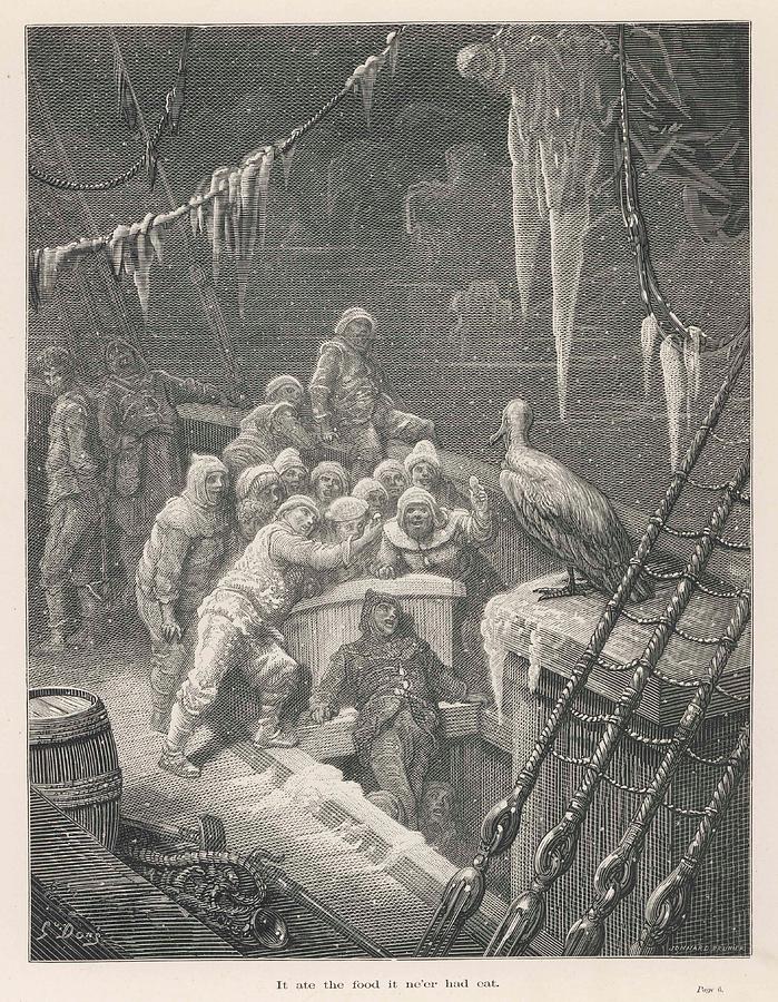 Albatross Drawing - The Frozen Crew Are Joined By  An by Mary Evans Picture Library