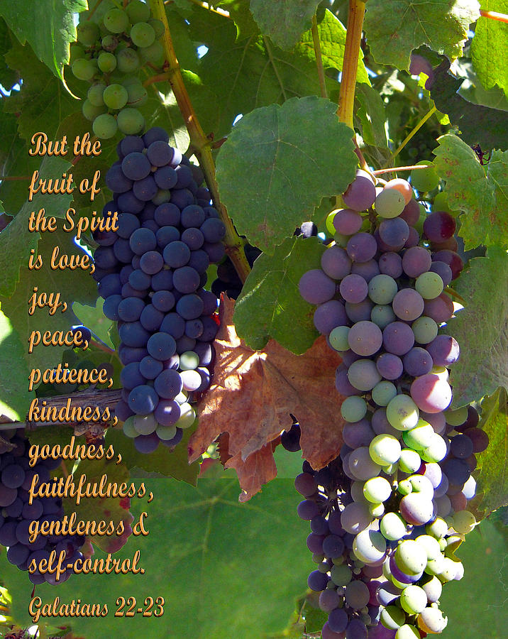 The Fruit Of The Spirit Photograph by Michele Avanti