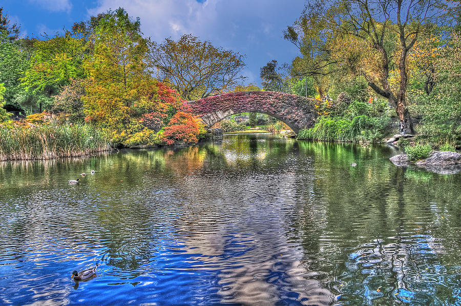 Central Park Photograph - The Gapstow Bridge at the Pond in Central Park Manhattan 2 by Randy Aveille