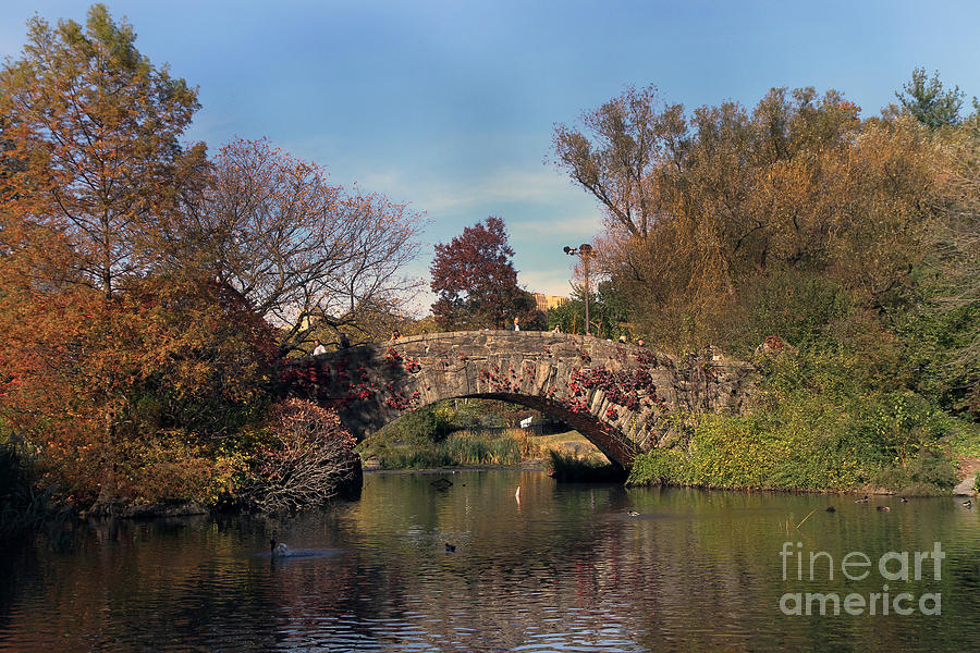 The Gapstow Bridge in Central Park Photograph by Steven Spak