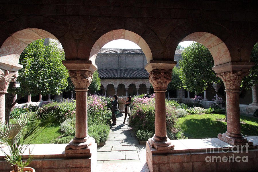 The Garden at the Cloisters Photograph by Steven Spak