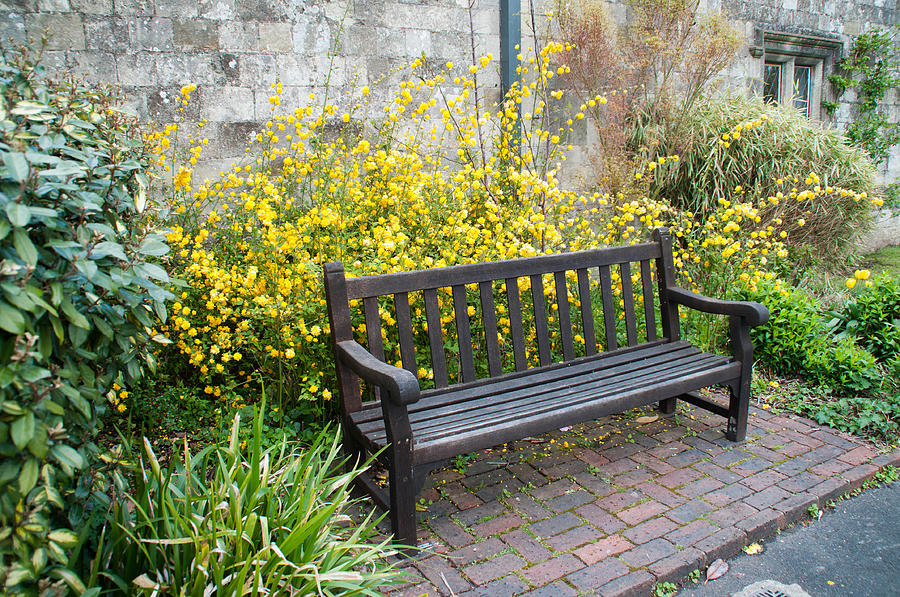 Bench Photograph - The Garden Bench by Geraldine Alexander