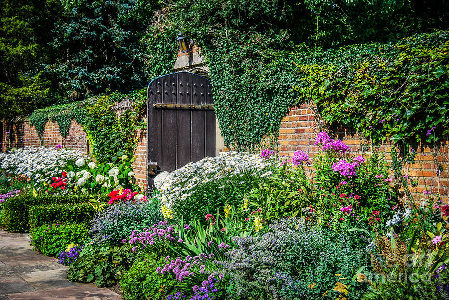 The Garden Gate Photograph by Grace Grogan