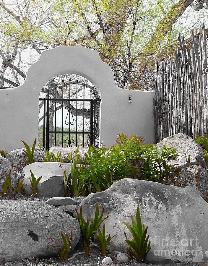 The Garden Gate Photograph by Michelle Frizzell-Thompson