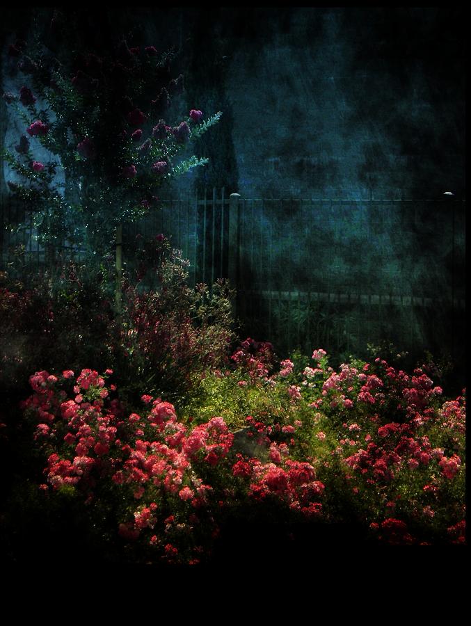 The Garden Photograph by Michelle Frizzell-Thompson