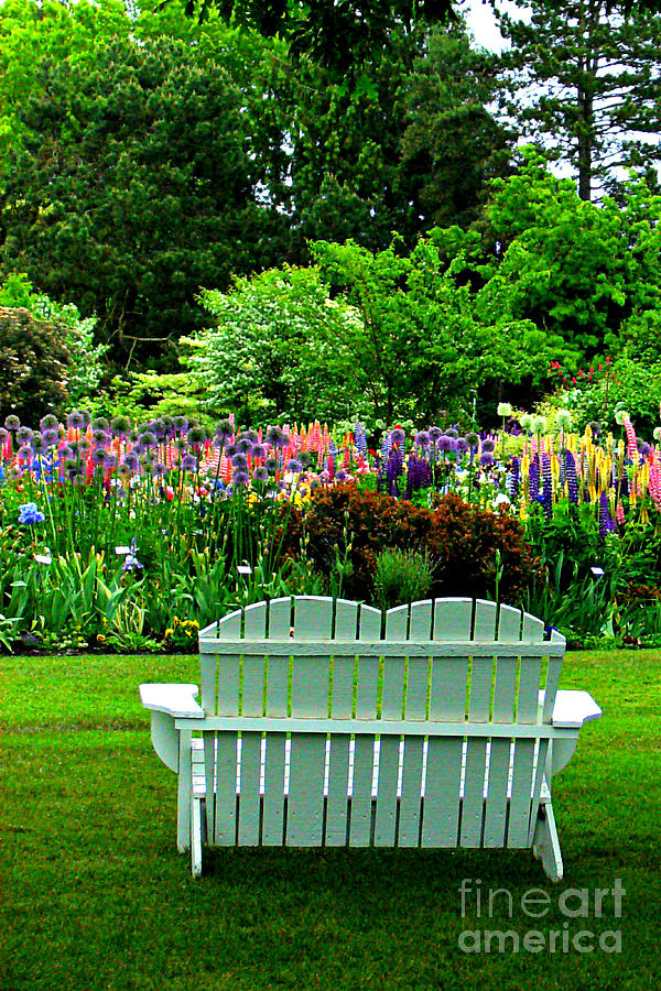 The Garden  Photograph by Mindy Bench