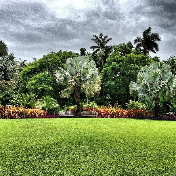 Miami Photograph - The Garden by Mohamed Abdulhamid