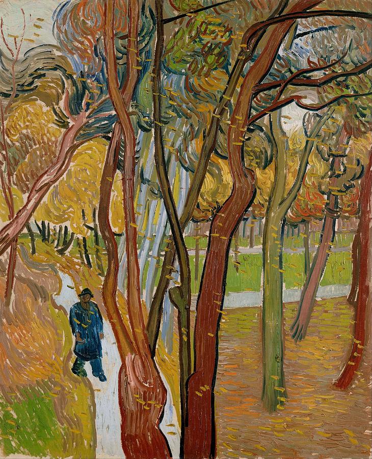 Vincent Van Gogh Painting - The garden of Saint Pauls Hospital by Vincent van Gogh