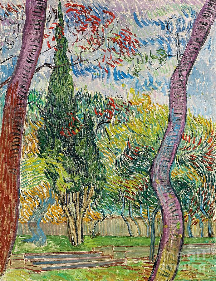 Vincent Van Gogh Painting - The Garden of St Pauls Hospital by Vincent van Gogh by Vincent van Gogh