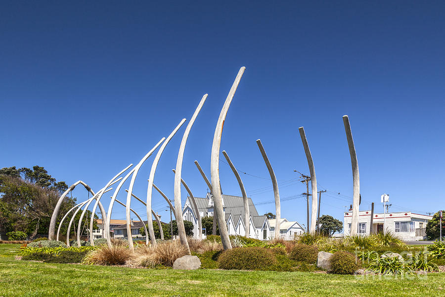 Horizontal Photograph - The Garden Of Tutunui Patea New Zealand by Colin and Linda McKie Horizontal Photograph - The Garden Of Tutunui Patea New Zealand by Colin and Linda McKie