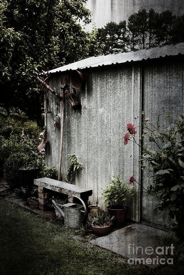 The garden shed Photograph by Fran Woods