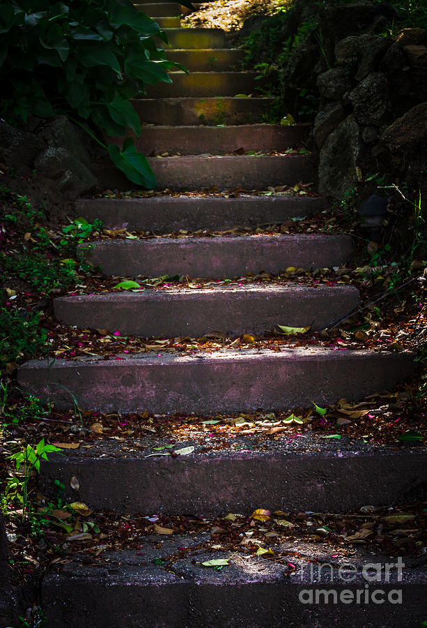 The Garden Stairs Photograph