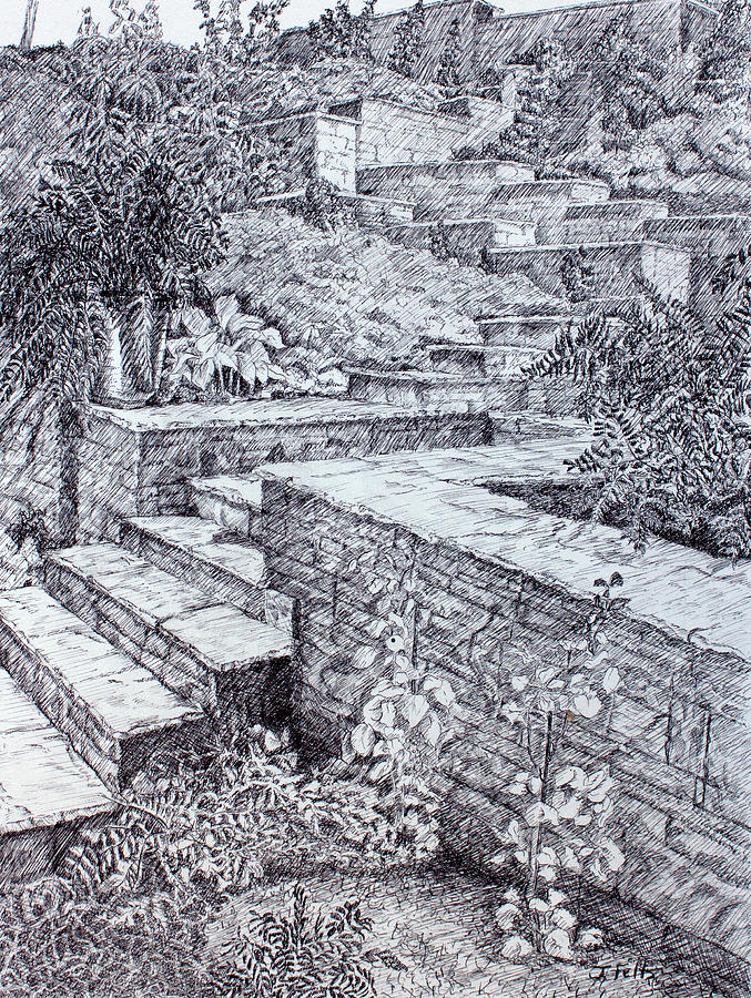 Atlanta Drawing - The Garden Wall by Janet Felts