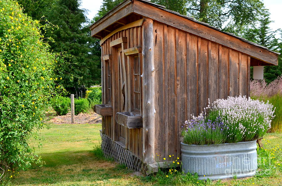 The Gardening Shed Photograph by Mary Deal