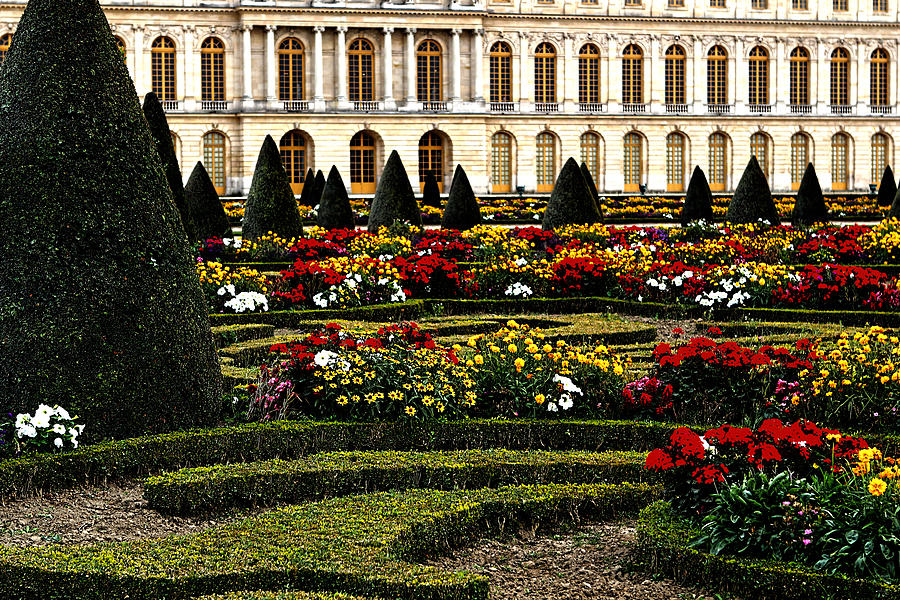 The Gardens at Versailles Photograph by Tom Prendergast