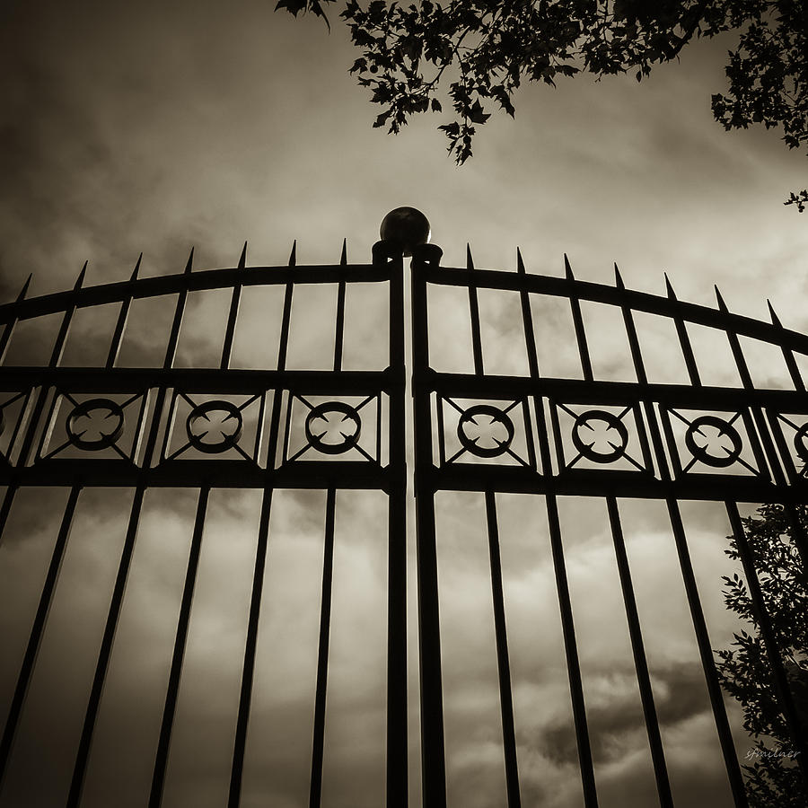 Ball Photograph - The Gate in Sepia by Steven Milner