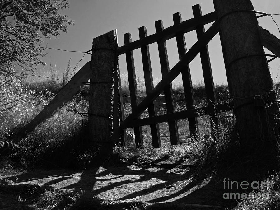 The Gate Photograph by Inge Riis McDonald