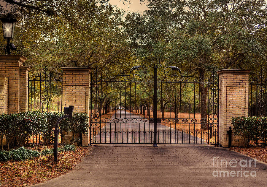 The Gate Photograph by Kathy Baccari