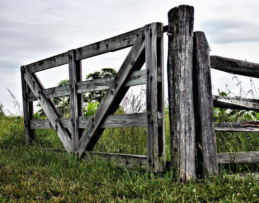 The Gate Photograph by Michael Pinette - Fine Art America