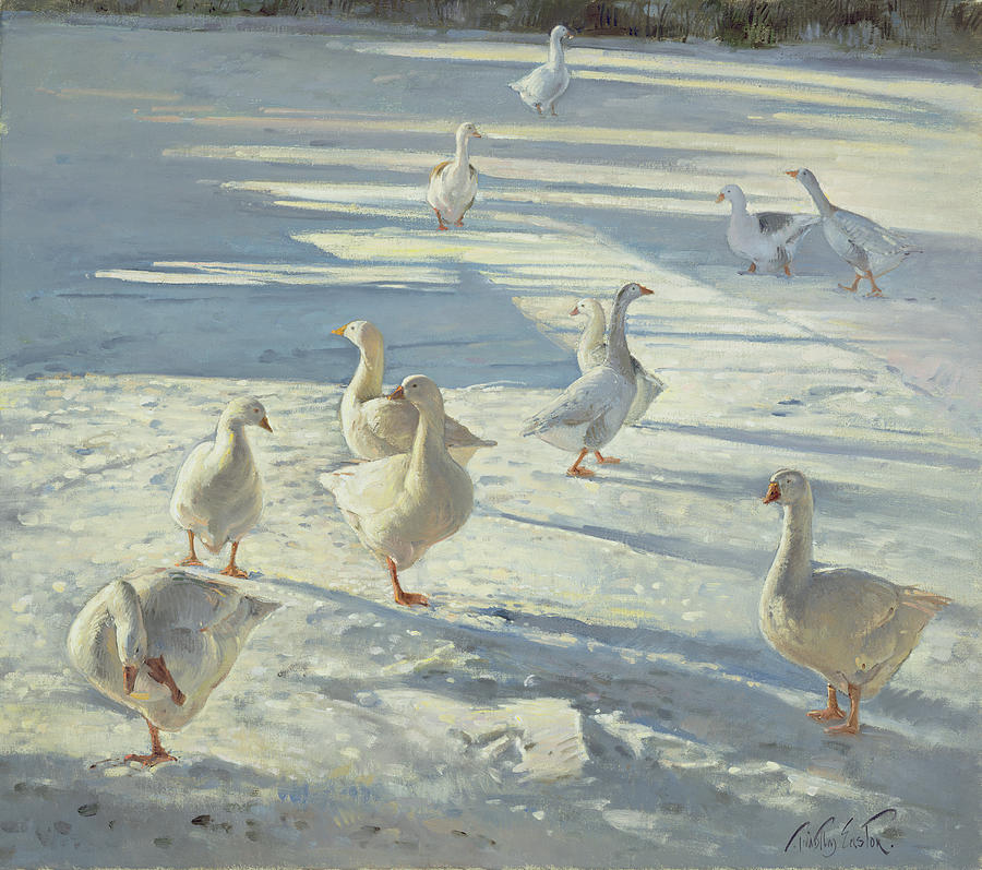 Geese Painting - The Gathering  by Timothy Easton