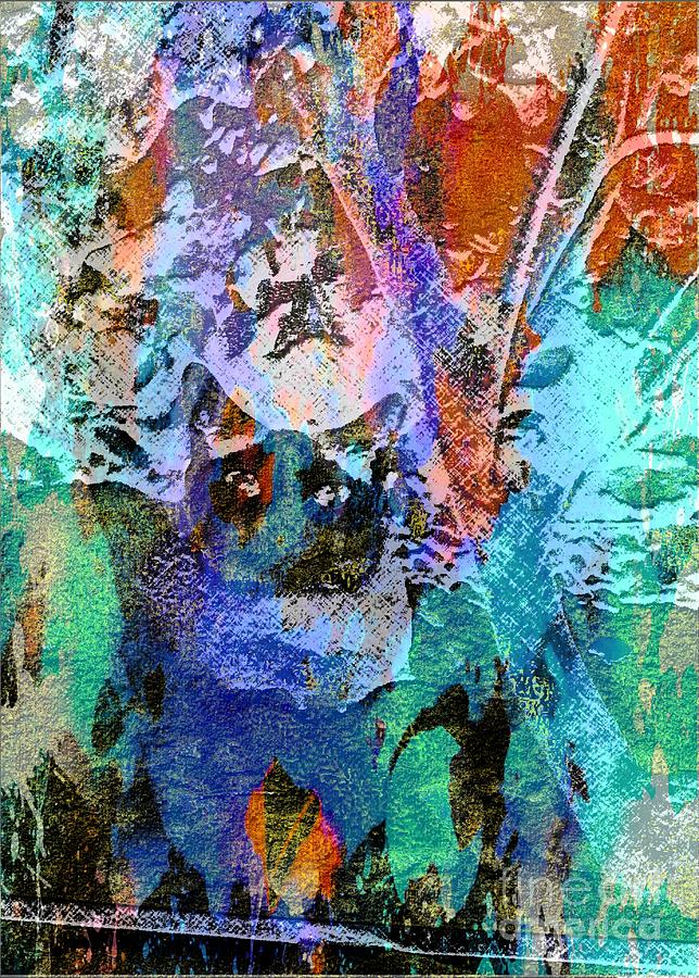 The Gato Digital Art by Steven  Pipella