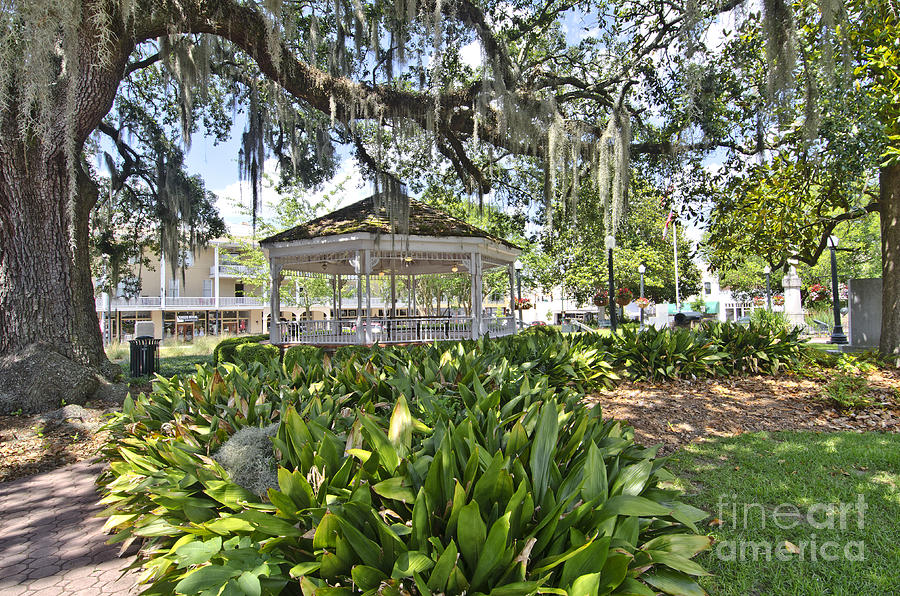 Attractive Photograph - The Gazebo by Debra Johnson Attractive Photograph - The Gazebo by Debra Johnson