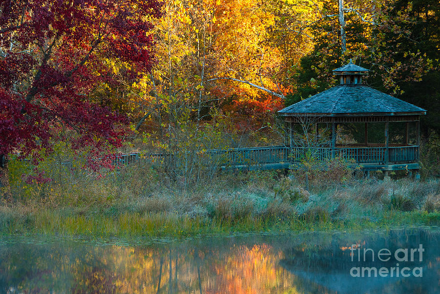The Gazebo in the Forest Photograph by Iris Greenwell