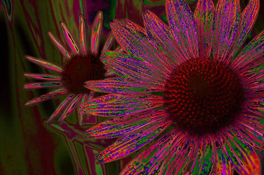 Flower Photograph - The General Cone Flower Back In The Day by Lesa Fine