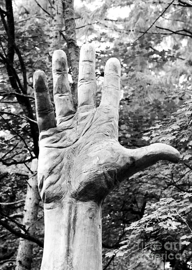 Wooden Photograph - The Giant Hand of Vyrnwy by Mike Hayward