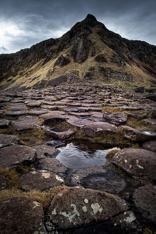 Northern Ireland Photograph - The Giants Causeway by Andy Gibson
