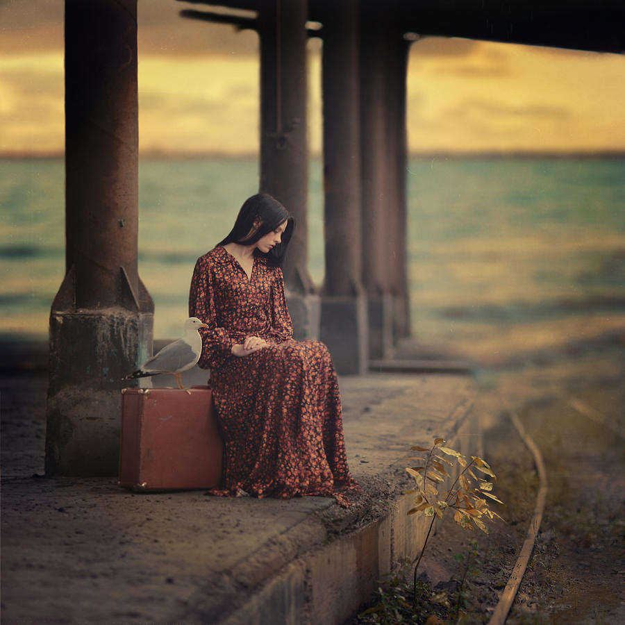 Fairy Photograph - The girl and the seagull by Anka Zhuravleva