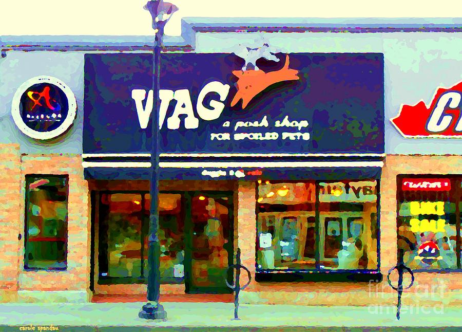 The Glebe Storefront Paintings Wag Pet And Bicycle Shop Bank And Sunnyside Ottawa Scenes Cspandau Painting by Carole Spandau