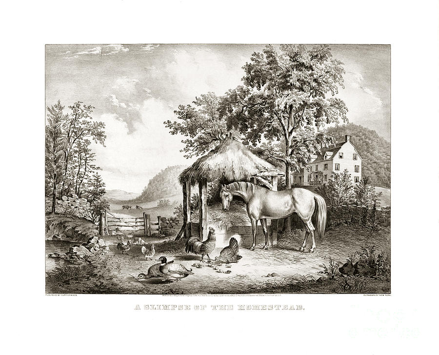 The glimpse of the homestead - 1859 Drawing by Pablo Romero