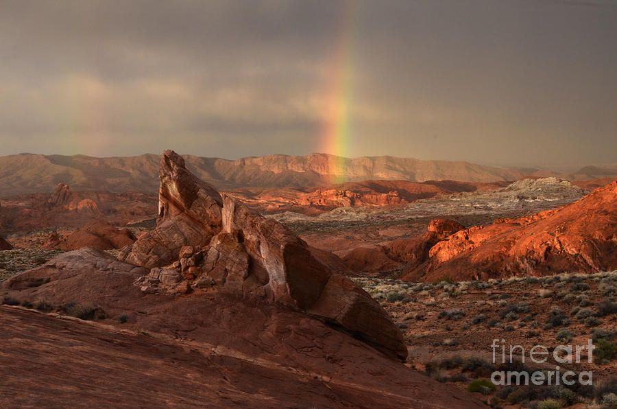 Sunset Photograph - The Glory Of Sandstone by Bob Christopher