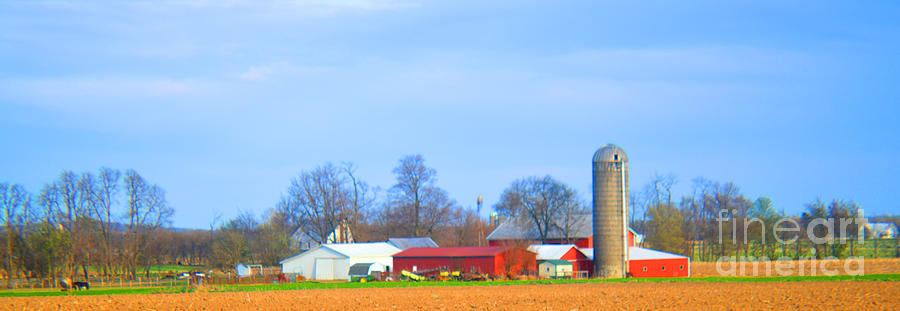 Farm Photograph - The Glory Of Springtime by Tina M Wenger
