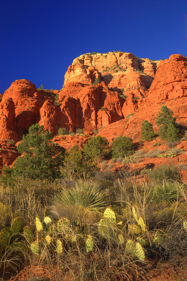 The Glory of the Desert Red Rocks 1 Photograph by Douglas Barnett
