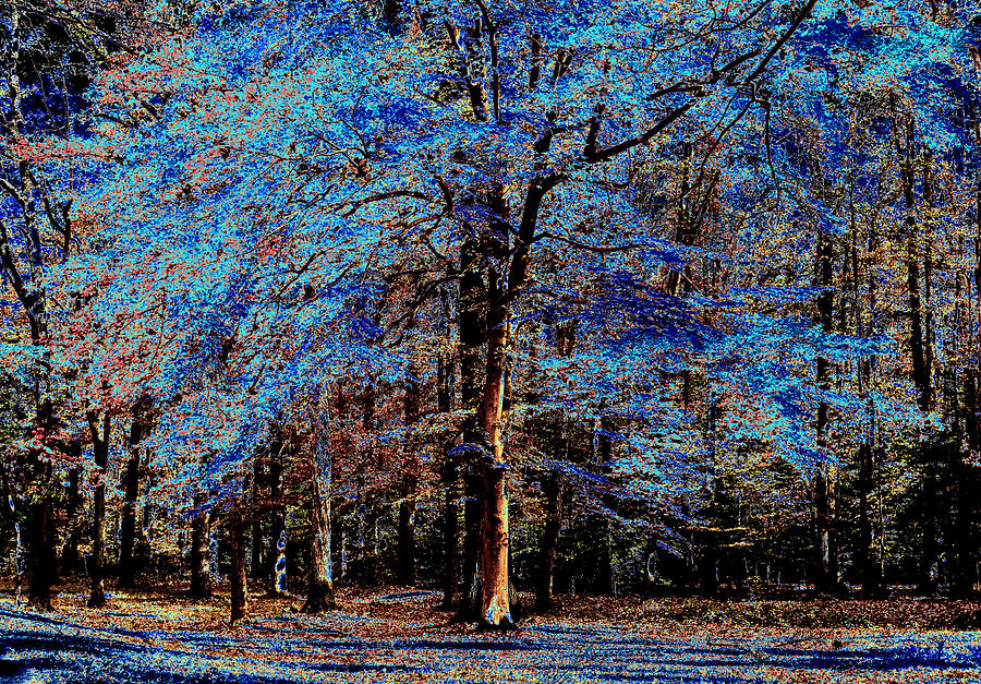 The Glow Tree Series Two Digital Art by Michelle Ayn Potter