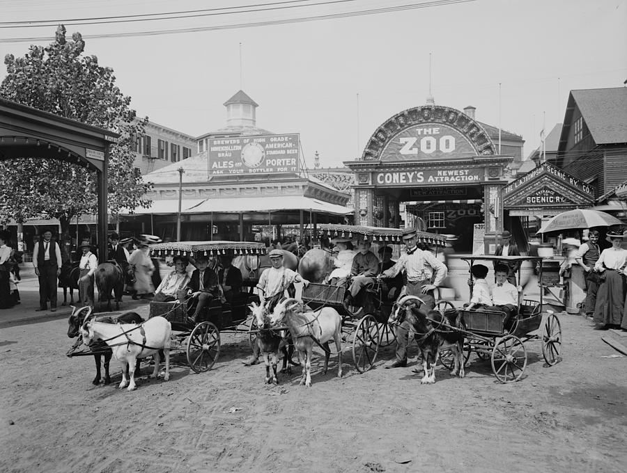 The Goat Carriages In Front Of The Zoo Photograph by Everett